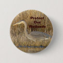 Search for juvenile photography Herons