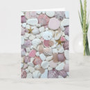 Search for beach shells photo cards Sea