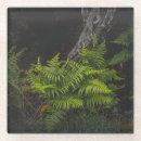 Search for aesthetic coasters Modern