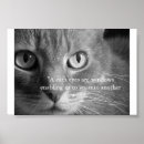 Search for eye posters Pet