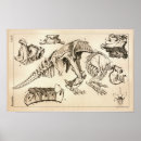 Search for fossil art Animal