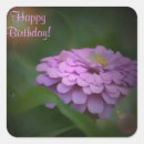Search for zinnias stickers Floral
