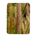 Search for macros magnets Nature