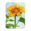 Search for danita delimont magnets Moses lake