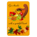 Search for cornucopia magnets Fall