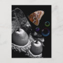 Search for acorn postcards Butterfly