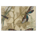 Search for dragonfly cookware Nature