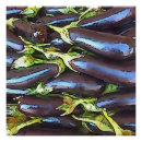 Search for eggplants posters Autumn