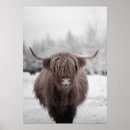 Search for farms posters Cow