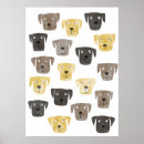 Search for squirrel lovers posters Pet