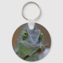 Search for terrarium key rings Funny