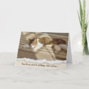 Search for sunshine cards Cat