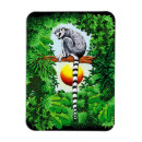 Search for madagascar magnets Nature