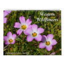 Search for wildflower calendars Flowers