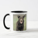 Search for motion mugs Full length
