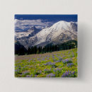 Search for alpine badges Meadow