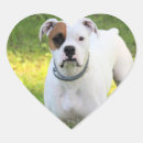 Search for dog friendly stickers Cute