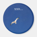 Search for soaring magnets Bird