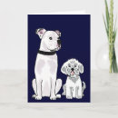 Search for american bulldog Animals