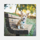 Search for park bench magnets Cute