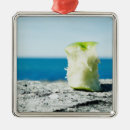Search for the dirt christmas tree decorations Outdoors