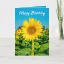 Search for sunflower seasonal cards Garden