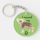 Search for hairless key rings Crested