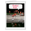 Search for flamingo retirement Congratulations