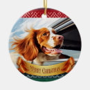 Search for brittany spaniel christmas tree decorations Puppy
