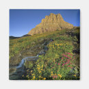 Search for wildflower magnets Park