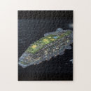 Search for nerdy puzzles Space