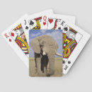 Search for reserve games Amboseli national park