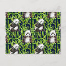 Search for watercolor bear postcards Panda