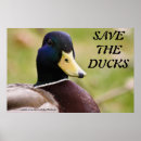 Search for bird save art Wildlife