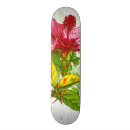 Search for bushes skateboards Background