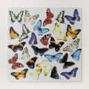 Search for realistic puzzles Butterfly