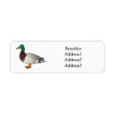 Search for mallard duck return address labels Bird