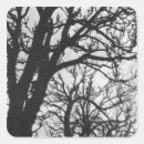 Search for photographic style stickers Black and white