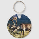 Search for caribe key rings Animals