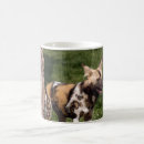 Search for wild dog mugs Animals
