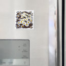 Search for shasta magnets Daisy