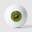 Search for ladybug golf balls Ladybird