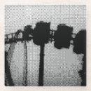 Search for roller coasters Photography