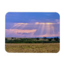 Search for sun set magnets Africa