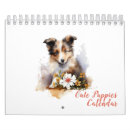 Search for folder postcards For her