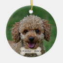 Search for apricot poodle christmas tree decorations Cute