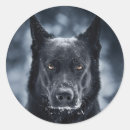 Search for german shepherds stickers Animals