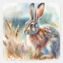 Search for woodland creatures stickers Bunny