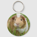 Search for cavie key rings Cute