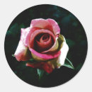 Search for red rose petals stickers Floral